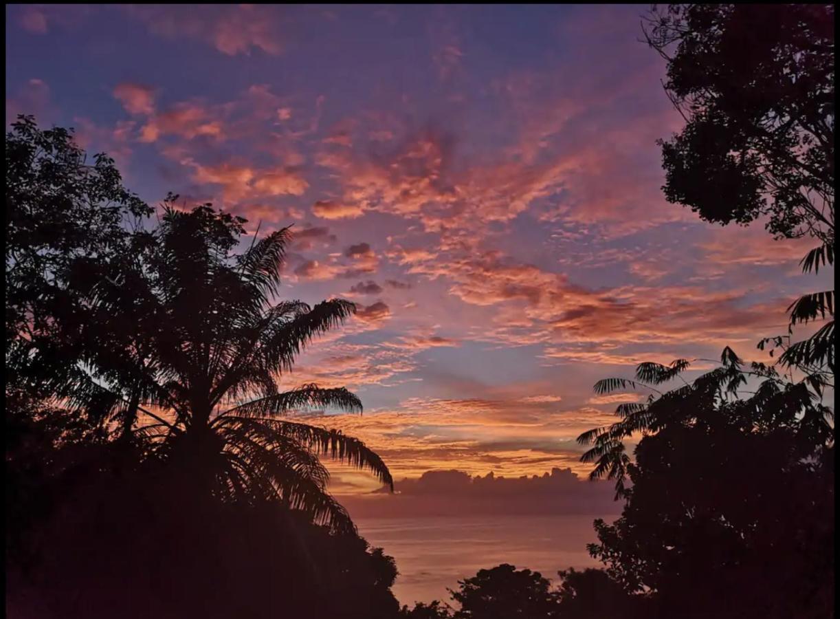 Bed and Breakfast Casa Geraldo Nationalpark Nationalpark Manuel Antonio Exterior foto